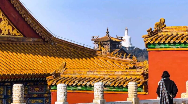 Beijing: Highlights of Forbidden City Private Walking Tour - Final Word