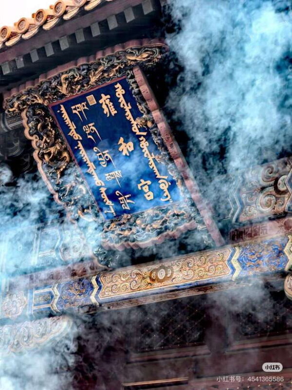 Beijing: Hutong Culture and Tea Tasting Private Tour - Exploring Beijing’s Hidden Side: A Detailed Look
