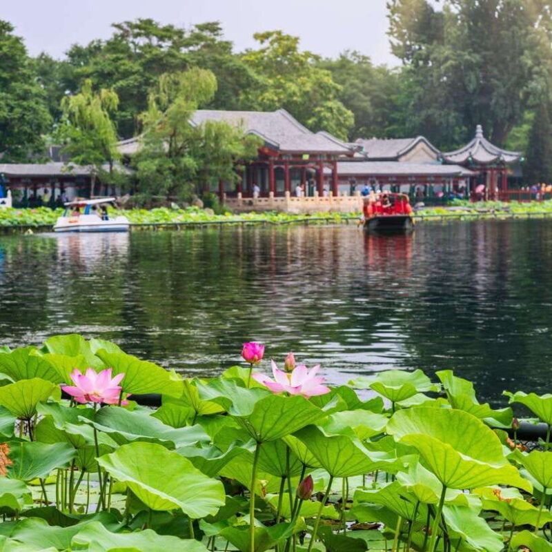 Beijing: Hutong Private Tour - Rickshaw Ride & English Guide - Introduction: Your Authentic Beijing Experience in a Few Hours