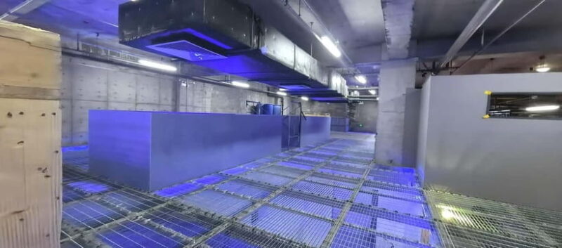 Beijing: Indoor Water Blaster Battle with Local Players - The Sum Up: Who Is This Tour For?