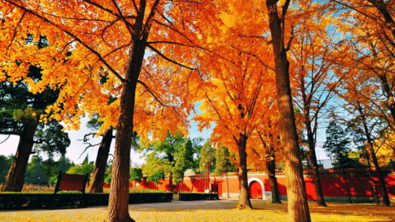 Beijing: JingShan park (palace museum garden) entry ticket - Highlights of the Experience