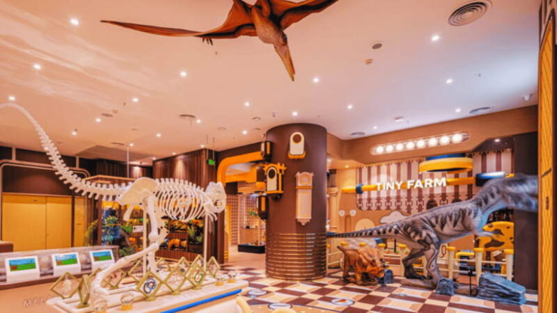 Beijing: Meland Club Indoor Playground Admission - Who Should Visit?