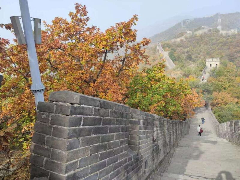 Beijing: Mutianyu Great Wall and Forbidden City Private Tour - Key Points