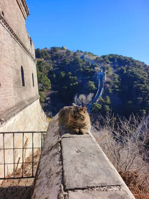 Beijing: Mutianyu Great Wall+Forbidden City Tour with Option - Authentic Experiences and Real Traveler Feedback