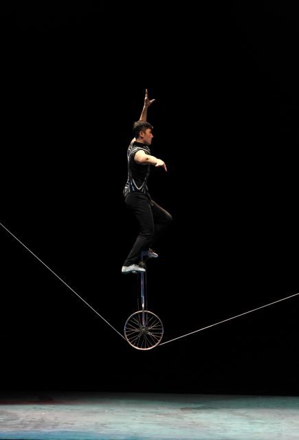 Beijing: Night Tour of Acrobatics Show Including Transfer - A Closer Look at the Experience