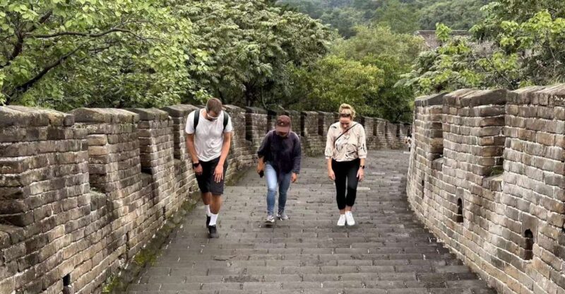 Beijing: Private Tour with Licensed Guide and Transfer - Authentic Insights and Practical Tips