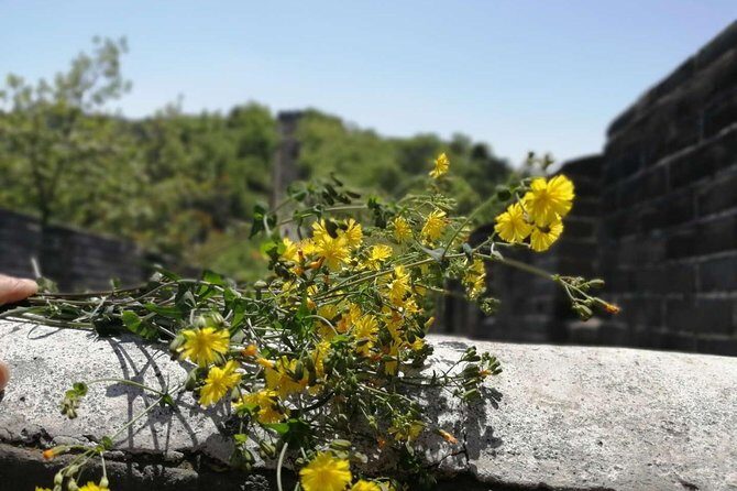 Beijing Private Transfer to Badaling Great Wall - Key Points