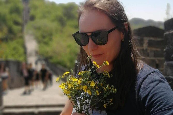 Beijing Private Transfer to Badaling Great Wall - Vehicle Options and Comfort