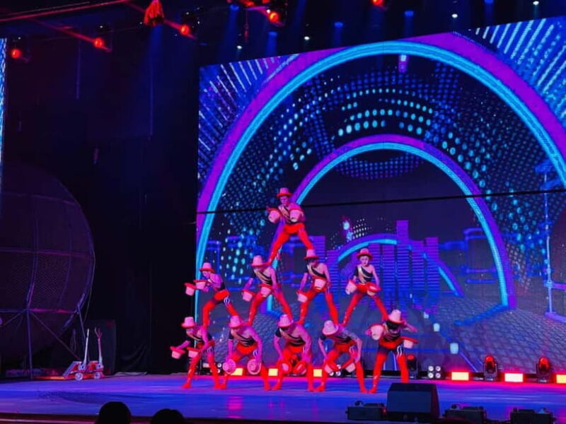 Beijing: Qinle Palace Acrobatics Show Ticket - A Close Look at the Experience