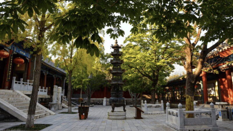 Beijing: Shaolin Temple Day Tour by Round Trip Bullet Train - The Sum Up