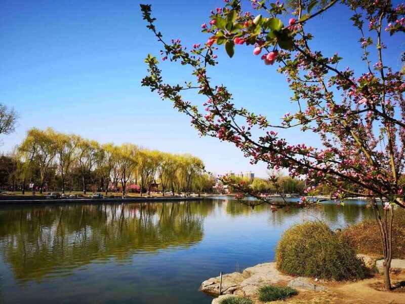 Beijing Summer Palace Admission Ticket(With other Options) - Transportation and Accessibility