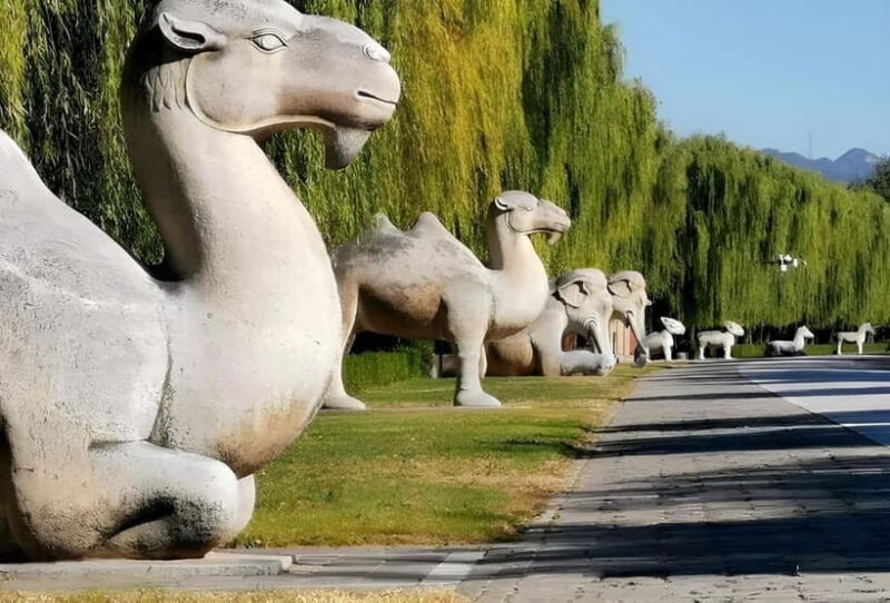 Beijing: Summer Palace Entry Tickets with Transfer Options - The Sum Up: Who Should Consider This Tour?