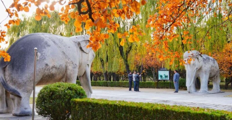 Beijing: Summer Palace Sacred Road & Ming Tombs Private Tour - A Deeply Cultural Day in Beijing