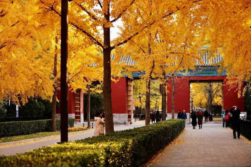 Beijing: Temple of Earth ticket; Serene, Majestic, Ancient - The Sum Up