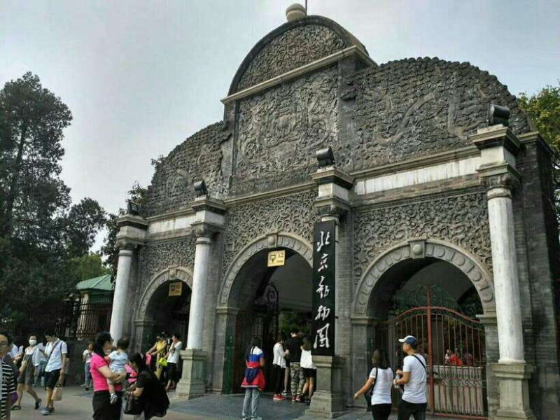 Beijing: The Beijing Zoo Entry Ticket with Pandas - Key Points
