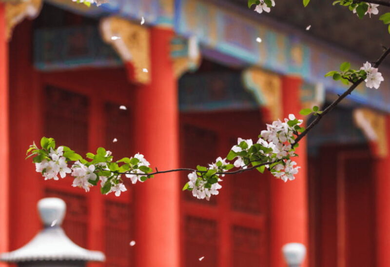 Beijing: Tiananmen Square and Forbidden City Entry Tickets - FAQs