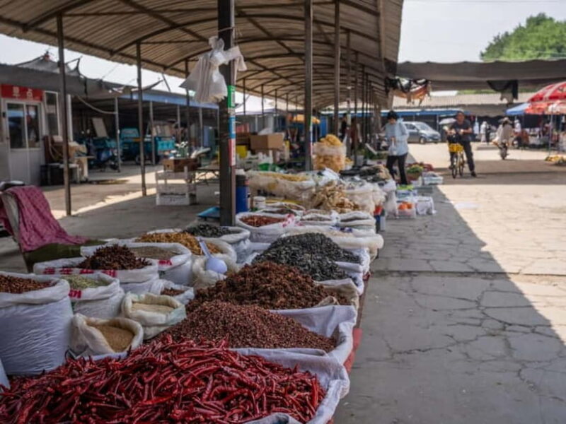 Beijing: Vegan Home Cooking & Local Market Tour with Sanxia - Key Points