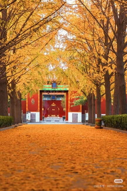 Beijing: Yonghe Lama Temple Tickets with guide (optional) - In-depth Look at the Yonghe Lama Temple Experience