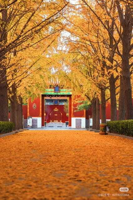Beijing: Yonghe Lama Temple Tickets with guide (optional) - FAQs