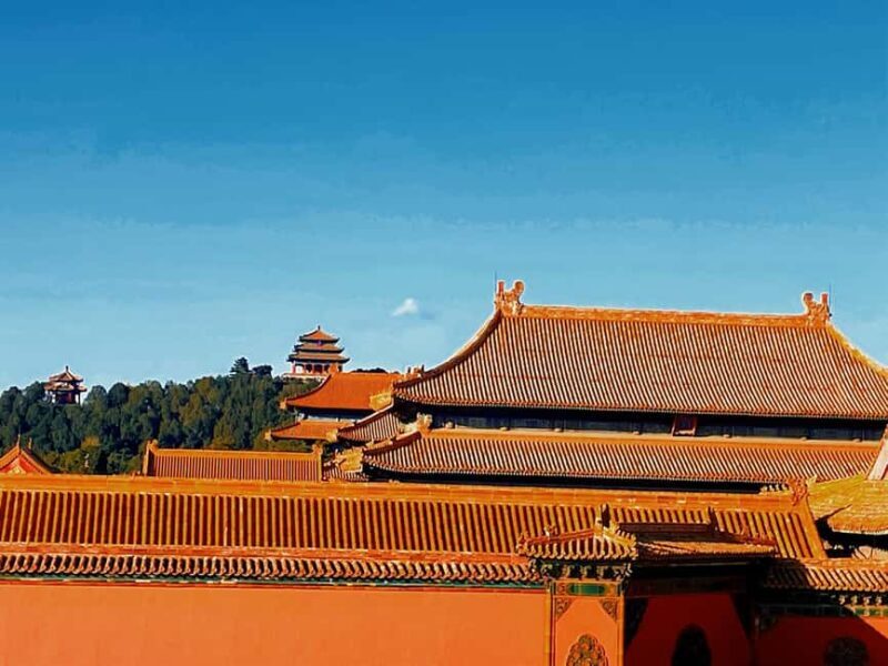 Beijing:Forbidden City and Tiananmen Square Private Tour - A Closer Look at the Tour Experience