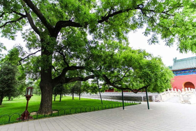 BeijingForbidden City & Temple of Heaven/Summer Palace Tour - FAQ