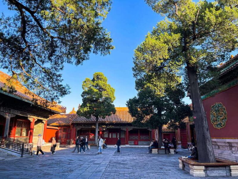 Beijing:Temple of Heaven+Forbidden City Private City Tour - An Overview of the Tour Experience