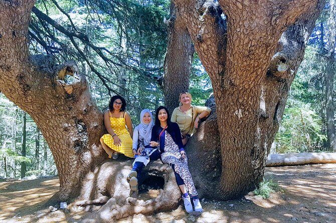 Beirut to Qadisha Valley, Bcharri & Cedar: Daily Tours with Lunch - FAQs