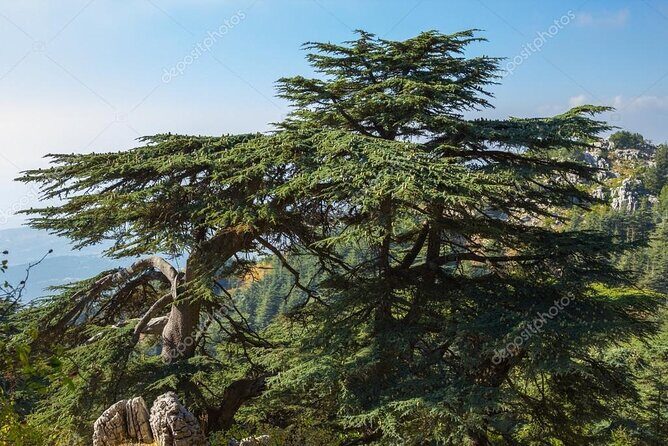 Beiteddine and Al-Chouf Cedar Reserve - FAQ