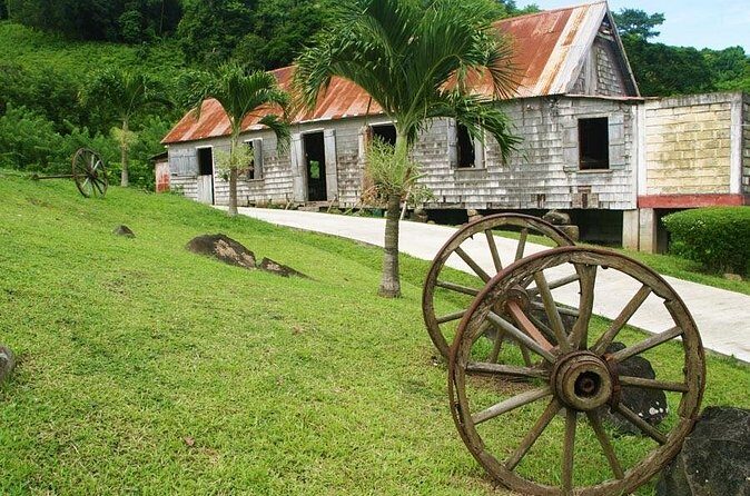 Belmont Estate Heritage Tour - The Belmont Estate: A Living Cocoa Museum