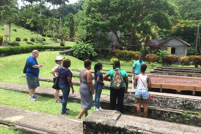 Belmont Estate Heritage Tour - La Sagesse Beach: Relax and Reflect