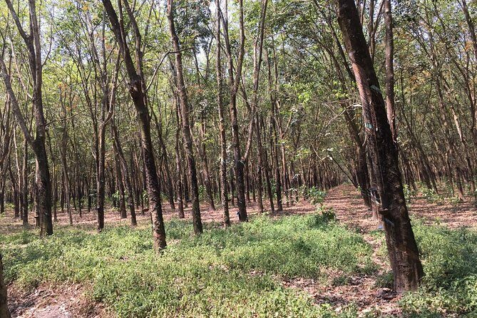 Ben Duoc - Authentic Cu Chi Tunnels Private Tour - What’s Included & Whats Not