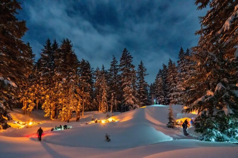 Bend: Cascade Mountains Snowshoeing Tour and Bonfire - Exploring the Tour: A Deep Dive into the Experience