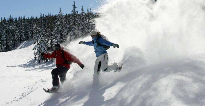 Bend: Half-Day Snowshoe Tour in the Cascade Mountain Range - Who Should Consider This Tour?