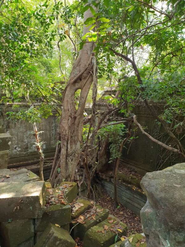 Beng Mealea, Koh Ker & Floating village Day Tour - FAQ