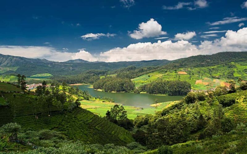 Bengaluru, Mysore, & Ooty: 6-Day Sightseeing Tour - The Experience of Visiting Iconic Sights and Natural Beauty