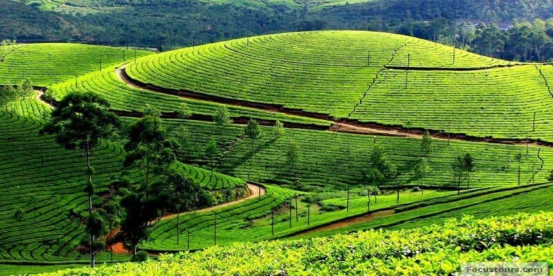 Bengaluru, Mysore, & Ooty: 6-Day Sightseeing Tour - Who Should Consider This Tour?