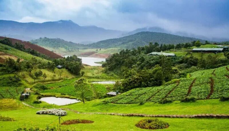 Bengaluru, Mysore, & Ooty: 6-Day Sightseeing Tour - Final Thoughts
