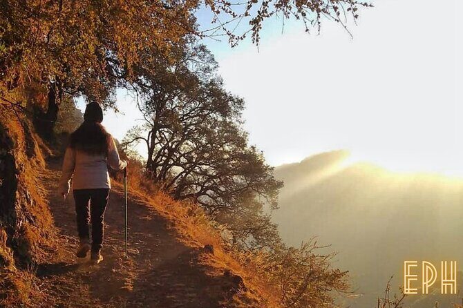 Benog Tibba Day Hike - Mussoorie - An In-Depth Look at the Benog Tibba Hike