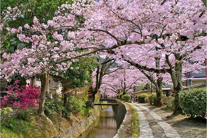Bento and Bicycle Tour of Hidden Kyoto with Local Guides - The Practical Side: What to Expect