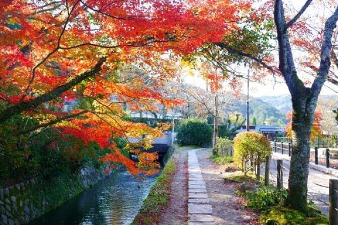 Bento and Bicycle Tour of Hidden Kyoto with Local Guides - The Sum Up