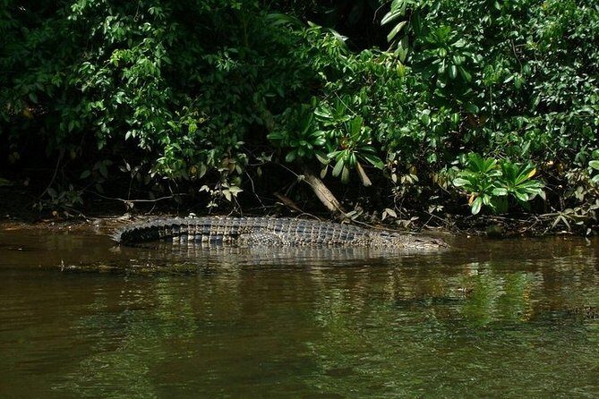 Bentota River Boat Safari with Private Boat Beruwala/Bentota/Kosgoda/Ahungalla - Exploring the Bentota River Safari: What to Expect