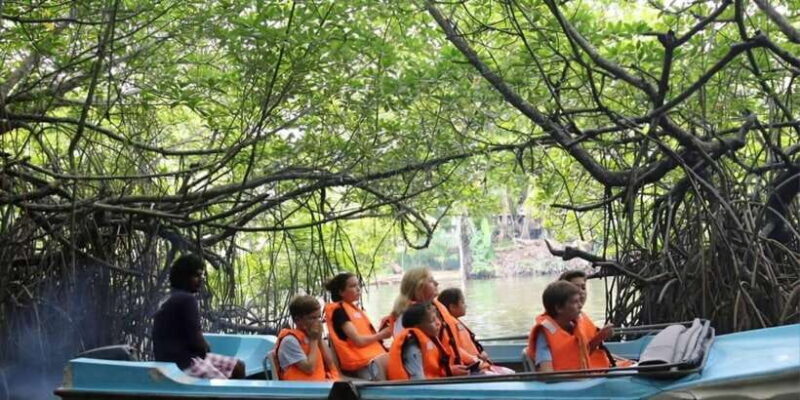 Bentota River Safari -Ahungalla/Bentota/Aluthgama/Kosgoda - An Authentic Look at the Bentota River Safari