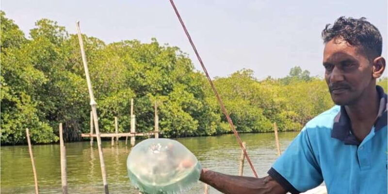 Bentota River Safari -Ahungalla/Bentota/Aluthgama/Kosgoda - FAQ