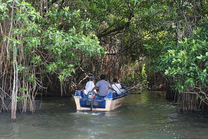 Bentota River Safari By BTM (Mangrove & Wildlife Encounter) - The Sum Up