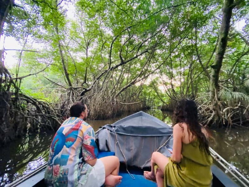 Bentota River Safari: Discover Wildlife & Mangroves by Boat - Final Thoughts