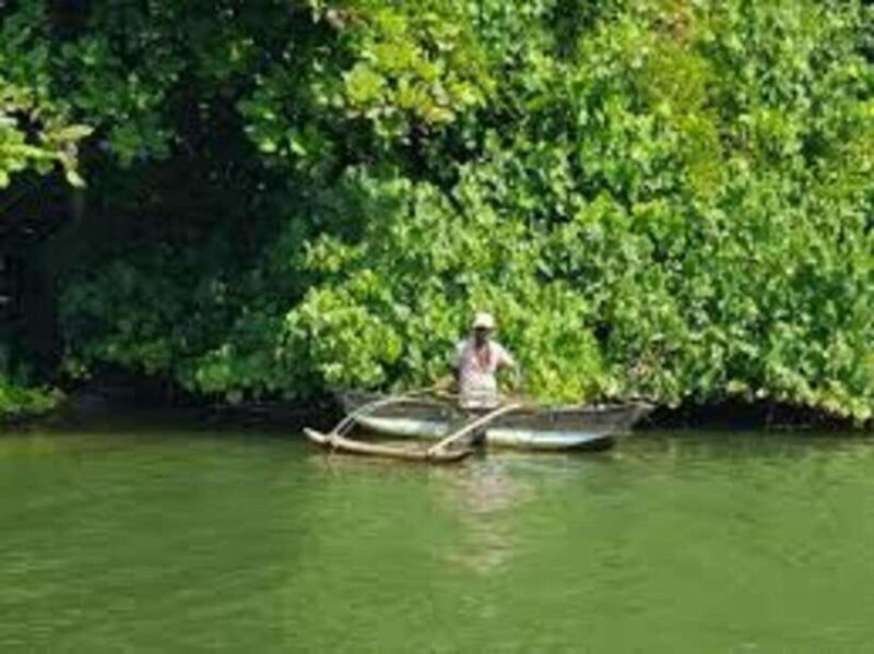 Bentota: River Safari with Hotel Pickup and Drop-Off - Discovering the Bentota River: What to Expect from the Tour