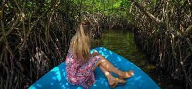 Bentota: River Safari with Hotel Pickup and Drop-Off - FAQ