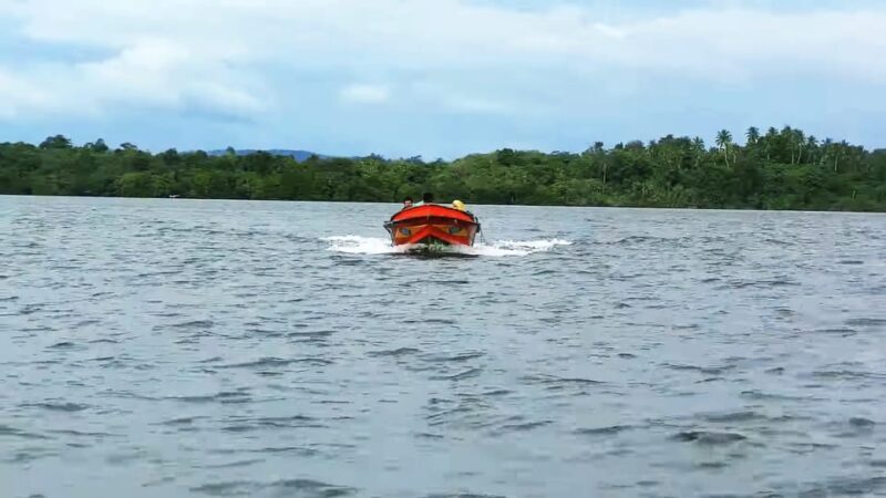 Bentota: swampboat Ride Through Mangrove Forest - The Tour’s Fit for Different Travelers