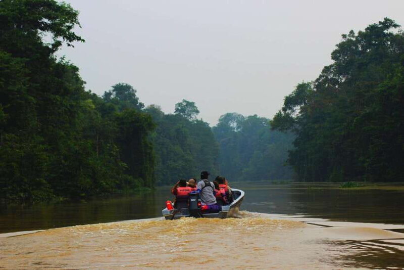 Bentota Village tour, River Safari with Westcoast - The Magic of the Bentota River Ecosystem