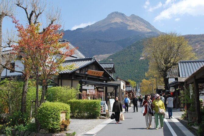 Beppu and Yufuin Scenic Private Tour - Key Points